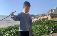 云南曲靖市一名3歲男童走失  警方：正在調(diào)查處理