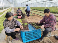 宜秀區(qū)羅嶺鎮(zhèn)：以考施壓，以賽促干，激活一池春水