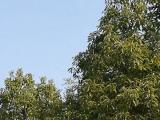 未来一周安徽气温逐渐回升 3月6日后最高温普遍可达23℃以上