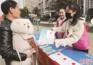 六安：文明養犬 “寵”我做起