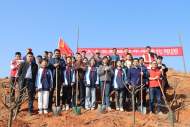 青陽縣喬木鄉：黨建引領添新綠 義務植樹我先行
