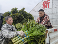 宜秀區羅嶺鎮羅嶺社區：產業“造血”賦能振興 