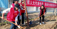 潘集區潘集鎮婦聯：巾幗志愿者學雷鋒添新綠