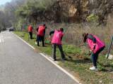 宜秀区杨桥镇龙山社区：植绿护绿怡人心，乡村振兴正当时