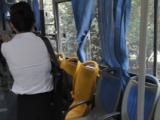 合肥新开两条定制公交旅游专线 方便市民赏花踏青