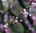 滕斌：堅強的大姐