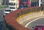 車輛高速上突發(fā)自燃 交警消防迅速處置