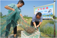 懷寧馬廟：黨建賦能 助力鄉村振興加速度 