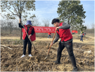 肥東眾興鄉：植樹添新綠 不負好春光 