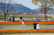 相約安巢半湯丨去有花的地方 做追風(fēng)少年