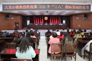 宜秀區大龍山鎮開展慶“三八”國際婦女節主題系列活動