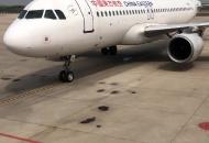 長春飛往合肥航班 一旅客高空突發不適? 乘務組緊急救治、協助送醫