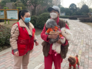 黃莊街道和平社區：牽緊遛狗文明繩 爭做養犬文明人