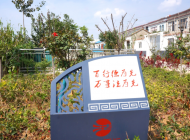 河溜鎮(zhèn)：基層治理添加“活力素” 助力鄉(xiāng)村振興“提速”
