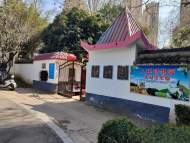 每位10元20年不漲價！六安人民公園動物園耄耋掌門人初心不改回饋市民