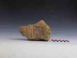 河南安陽發(fā)現(xiàn)距今約7800年聚落遺址 
