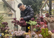“新新小店”活力無限|街景店車：蛋糕+“多肉”，成了“網(wǎng)紅”打卡點(diǎn)