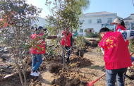潘集區祁集鎮：植樹護林春風里 煥發鄉村新面貌