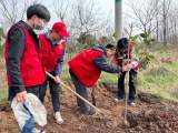 滁州城市职业学院组织开展植树节劳动实践活动