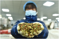 90后白領小伙辭職賣花茶，日銷數千單 