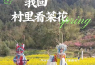 我回村里看菜花