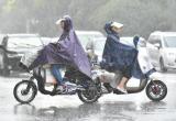 连续阴雨天气！受冷空气影响 合肥将迎大风降温