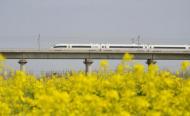 鐵路春游運輸方案出臺 蚌埠“春游列車”來啦