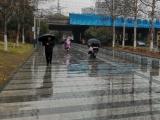 未来7天合肥最高气温可达25℃ 有一次降雨过程