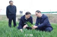 蚌埠市委書記黃曉武在五河縣調研