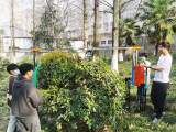 仅1分钟被修剪“圆溜溜”！安徽一高校学子自制绿植修剪机