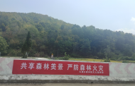 宜秀區(qū)五橫鄉(xiāng)曰公社區(qū)：做實“黨建+林長制” 發(fā)展“綠色生態(tài)產(chǎn)業(yè)”