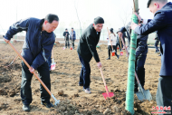 六安市領導集體參加義務植樹活動