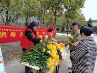 合肥包河大圩：倡導文明祭祀 樹立文明新風