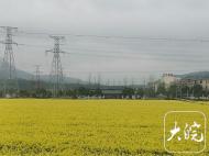 降水減弱沙塵南壓 安徽多地AQI指數爆表