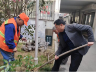 黃莊街道前進(jìn)社區(qū)：植綠補綠添春意 攜手共建美家園