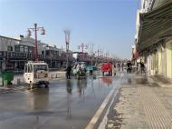 濠城鎮：樹文明新風，建美麗家園  