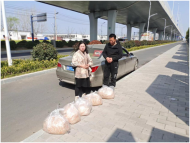 阜陽陽光愛心公益協(xié)會：學(xué)雷鋒見行動，愛心溫暖養(yǎng)老院