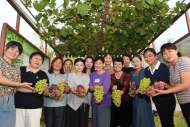 合肥包河大圩：“徽姑娘”致富路上綻放風(fēng)采