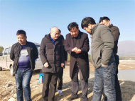 半湯街道開展區域白蟻防治工程，保障水利工程設施安全