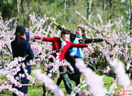 六安市第十五屆桃花節(jié)舉行