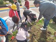 蕪湖市新希望社會工作：種一個夢想 在春天成長