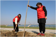 濉溪縣四鋪鎮：共栽幸福樹 同建巾幗林 