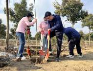 鳳二小教育集團：植樹綠化正當時  黨員教師先鋒行