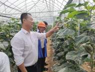宜秀區羅嶺鎮羅嶺社區：“大棚課堂”推動蔬菜產業提質增效
