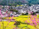 及时语 | 后门票经济时代，旅游景区需抓紧转型