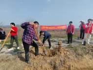 合肥經開區志愿服務總隊：共建一抹綠，老兵齊參與——植樹節主題活動