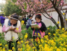 蚌埠市解放二路小学开展科学课项目式学习实践研究活动