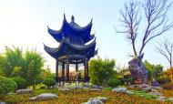 安徽巢湖：城市公園裝點(diǎn)幸福生活