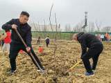 一起来植树！让美好“骆”地生根