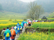 黄山市第五届花田跑暨“72小时奇遇记”古徽州良辰花朝会盛大开幕